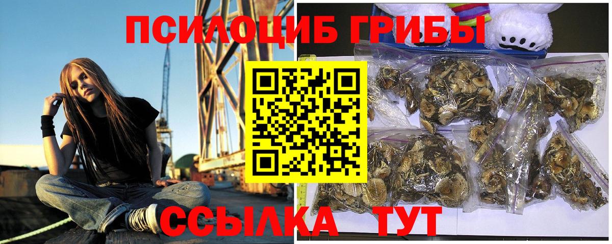 Псилоцибиновые грибы прущие грибы Майский